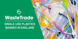 Single-Use Plastic Ban