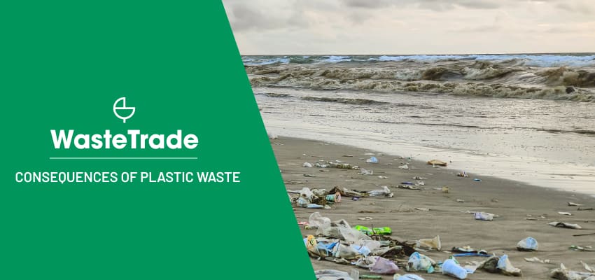 Consecuencias de los residuos plásticos y la contaminación ambiental